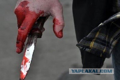 В Белоруссии мужчина снял скальп с сожительницы из-за найденного в еде волоса