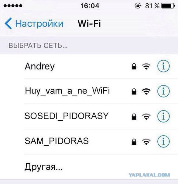 Комментарии, подписи, текстовые приколы