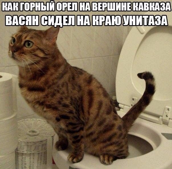 Мохнатые беспредельщики