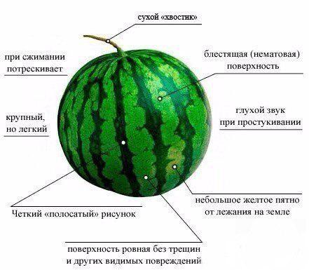 Подборка "тёплых уютных домашних" фотографий, часть 6