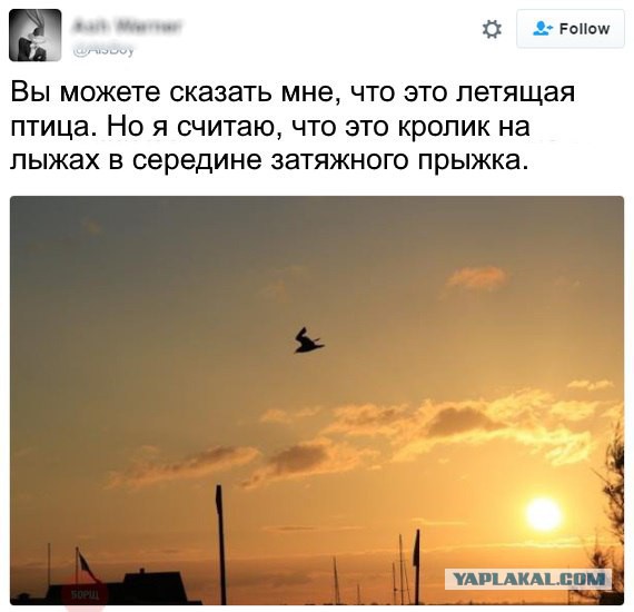 Смешные комментарии из социальных сетей 16.09.2016