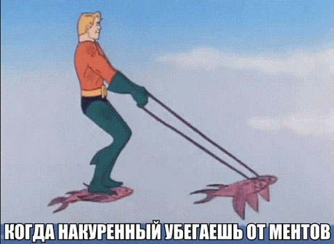 Поляна идиотизма, адового трэша и наркоты