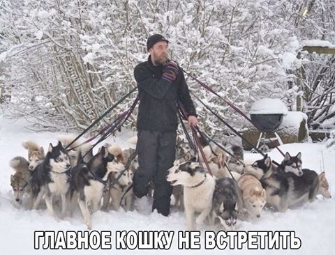 Зло, но смешно, в картинках