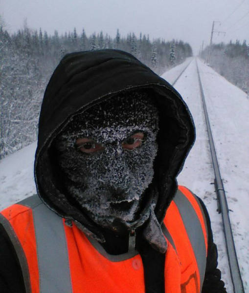 Подборка безудержного веселья