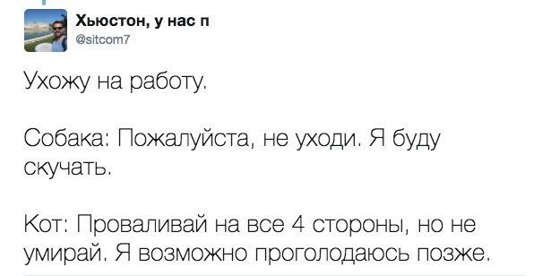 Подборка интересных и веселых картинок