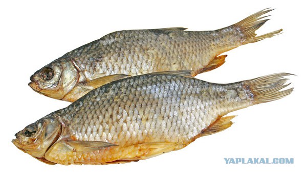 Британцы составили список вкусностей из России, которых миру не хватает