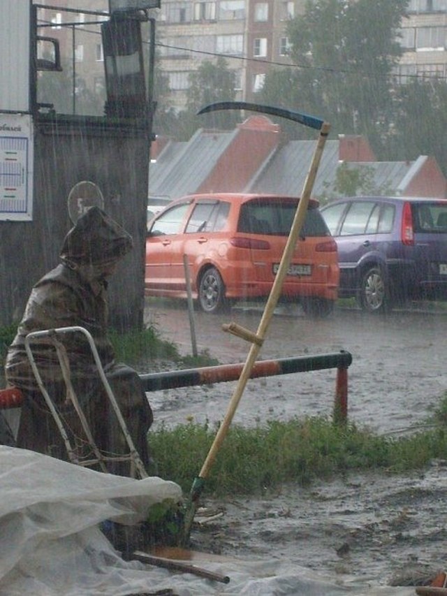 Прикольные картинки на 13.06.2017