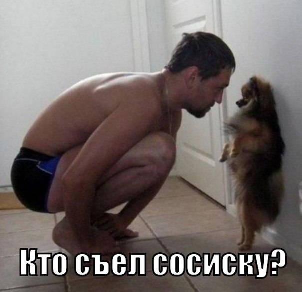 130 картинок для поднятия настроения!