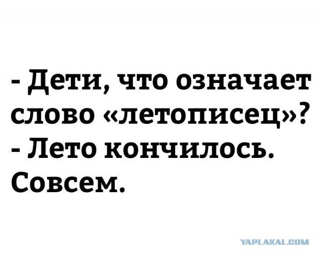 Забавные шутки, фразы и комментарии из этих ваших интернетов