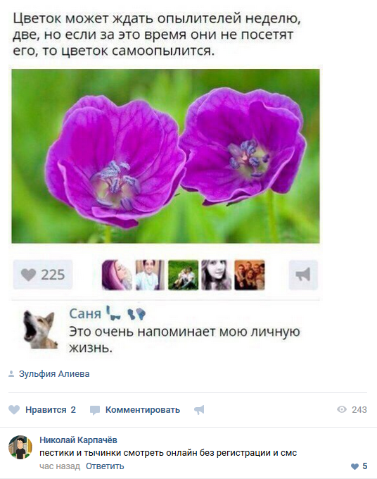Нестандартный юмор