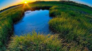 10 снимков, в подлинность которых верили все эти годы. А зря...