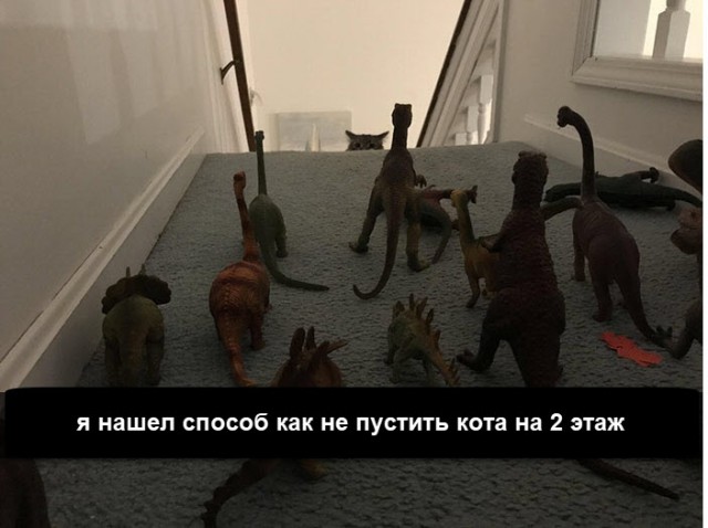 Немного юмора (чёрного и не очень)