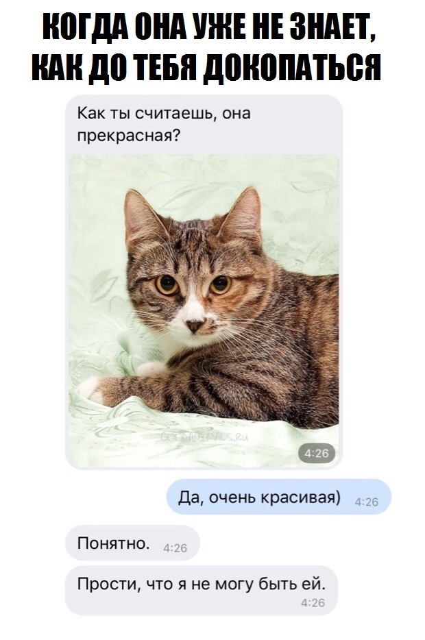 Не очень адекватный юмор