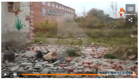 ВестиКрым опубликовали видео бойни в Керчи