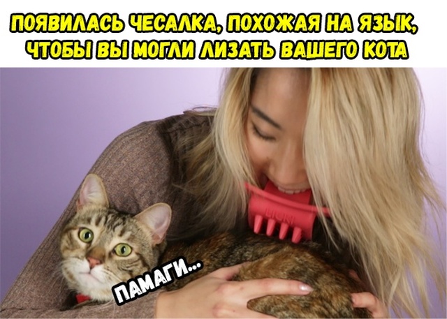 Нестандартный юмор