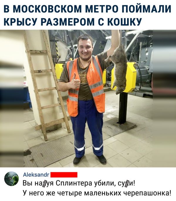 Анекдоты, соц-сети и картинки с надписями