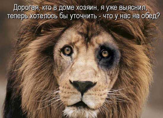 Женщины Афганистана