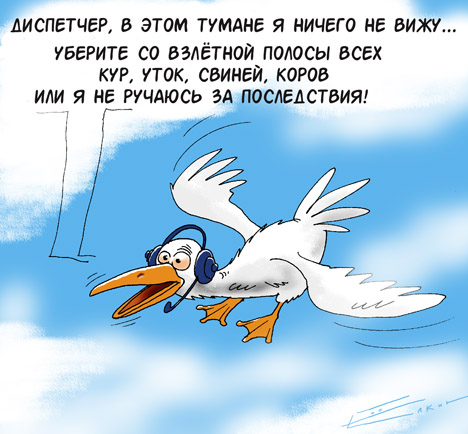 Шедевры Сергея Елкина