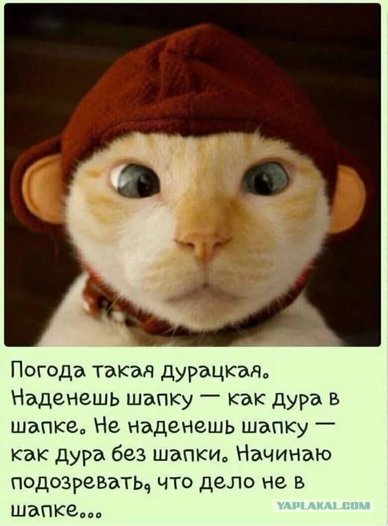 Бредзона 30.01.2020