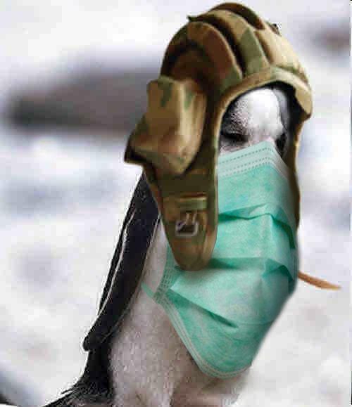 Нарвский. Страница старого блокнота