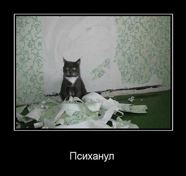 Откровение плохого папы