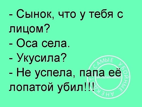 Немного картинок для настроения 04.09.20