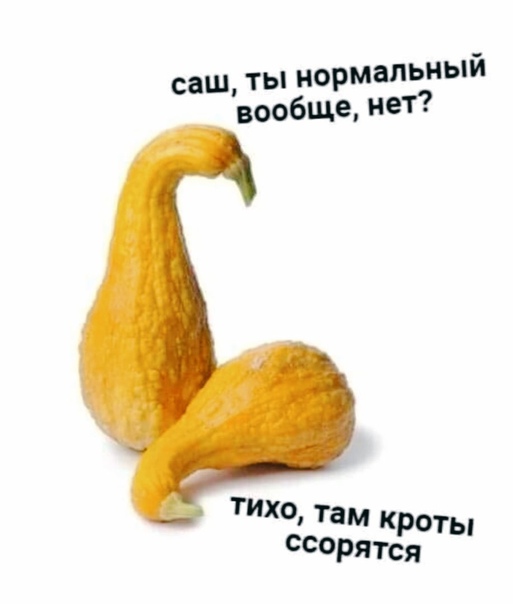 Немного картинок для настроения 16.09.20