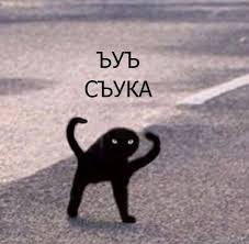 Бельгийский гриффон