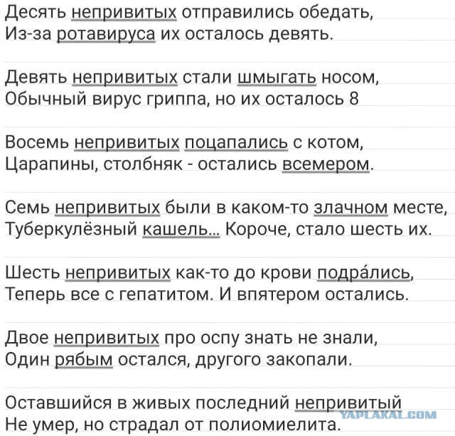 Так себе картинки 05.02.21