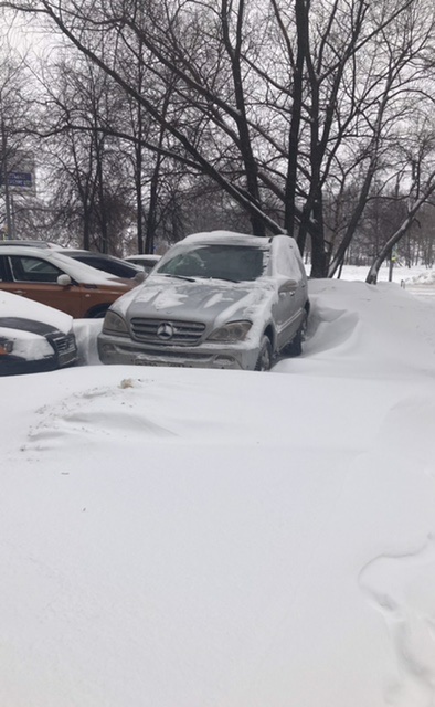 Бредзона 15.02.21