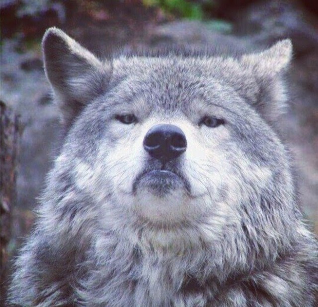 Немного картинок с надписями и без - 28.02.21