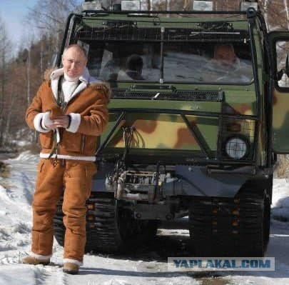 Горбатая тайга