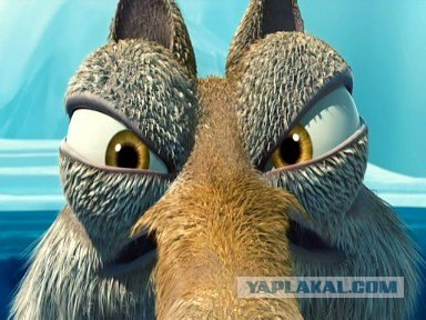 Белки блеать!