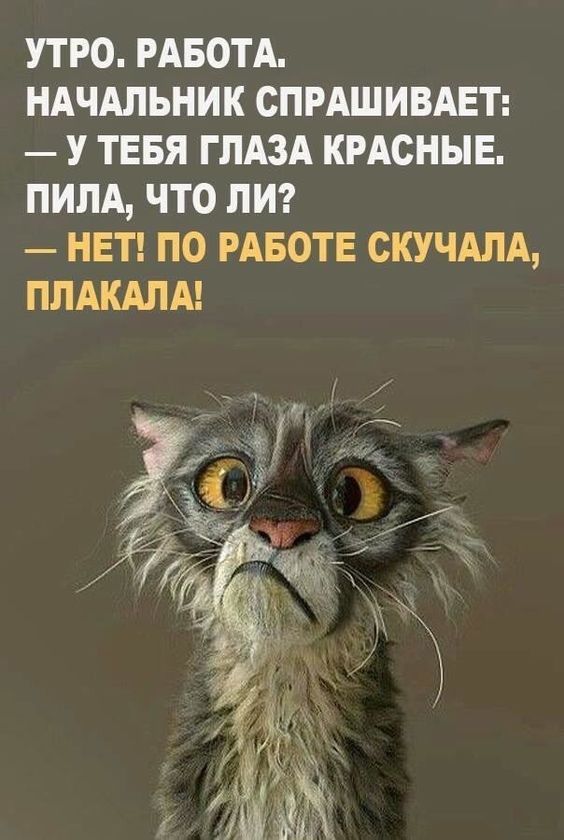 Алкопост 13.08.21