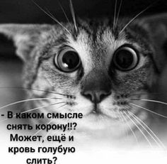Баянисто-небаянистый юмор 15.08.21