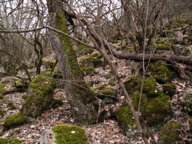 Прогулка по Севастополю."Тёмная балка" 52 фото