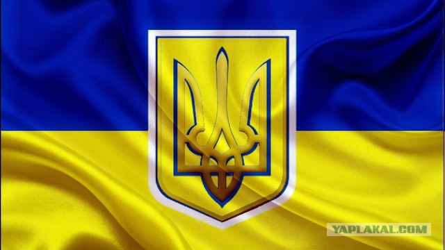 Уважаю Александра Усика