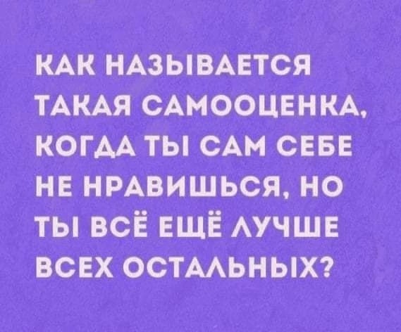Весёлый полтишок 16.05.22