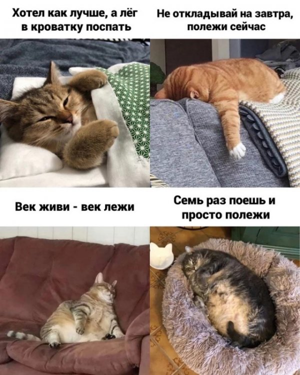 Прикольные и просто красивые картинки 22.06.2022
