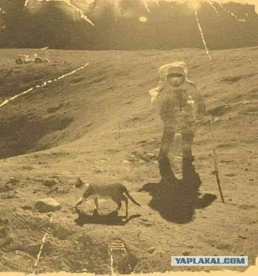 Луносрач