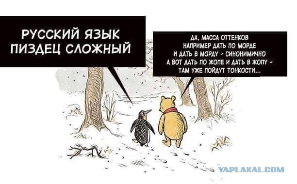 Весёлый полтишок 12.10.22