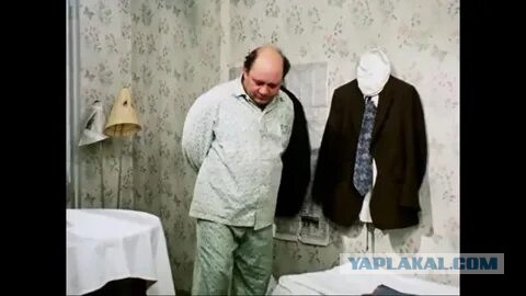 Сегодня демократия выглядит так