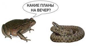 «Дуэли» не будет: Соловьёв отказался от публичного общения со Стрелковым
