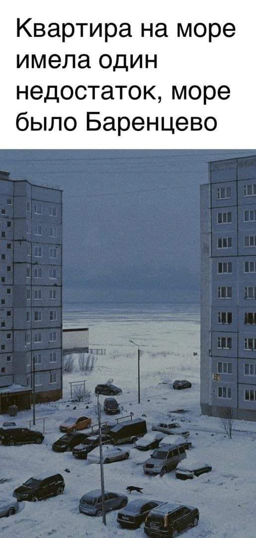 Весёлый полтишок 12.03.23
