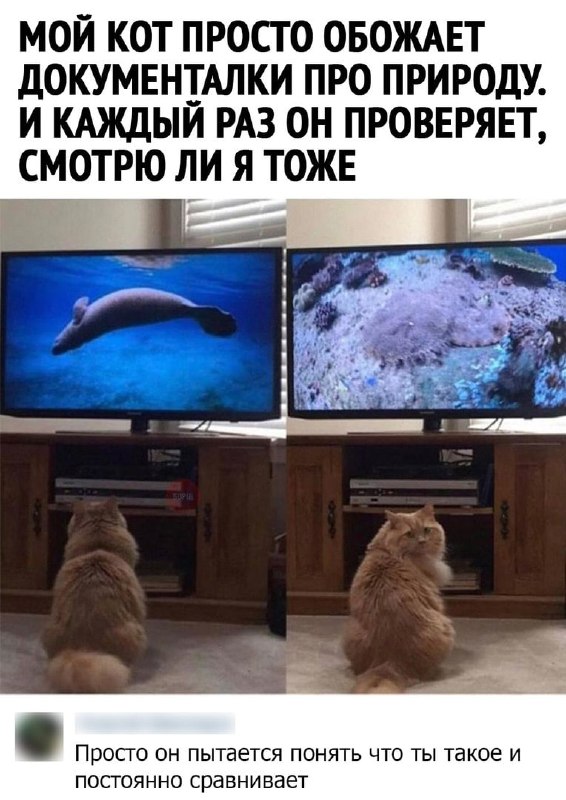 Картинки и мемы, всем хороших выходных