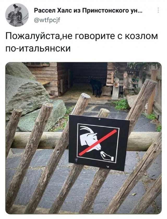 Немного картинок для настроения - 177