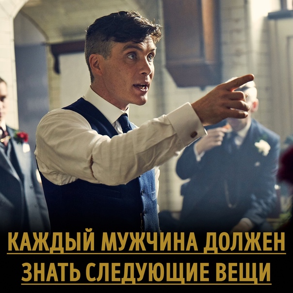 Ехидна
