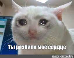 Что-то на богатом с ПМЭФ