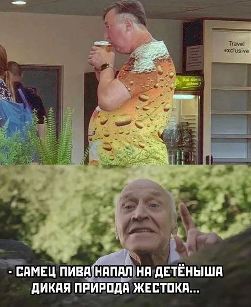 Прикольные и просто красивые картинки 23.06.2023