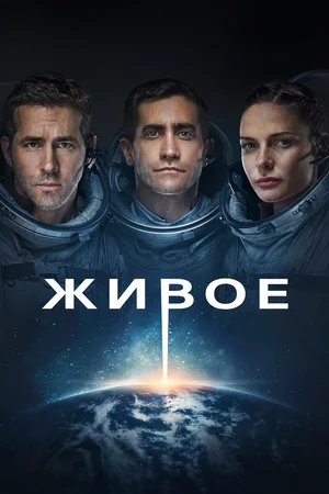 Фильмы, которые стоит смотреть, смотрим сами и советуем другим